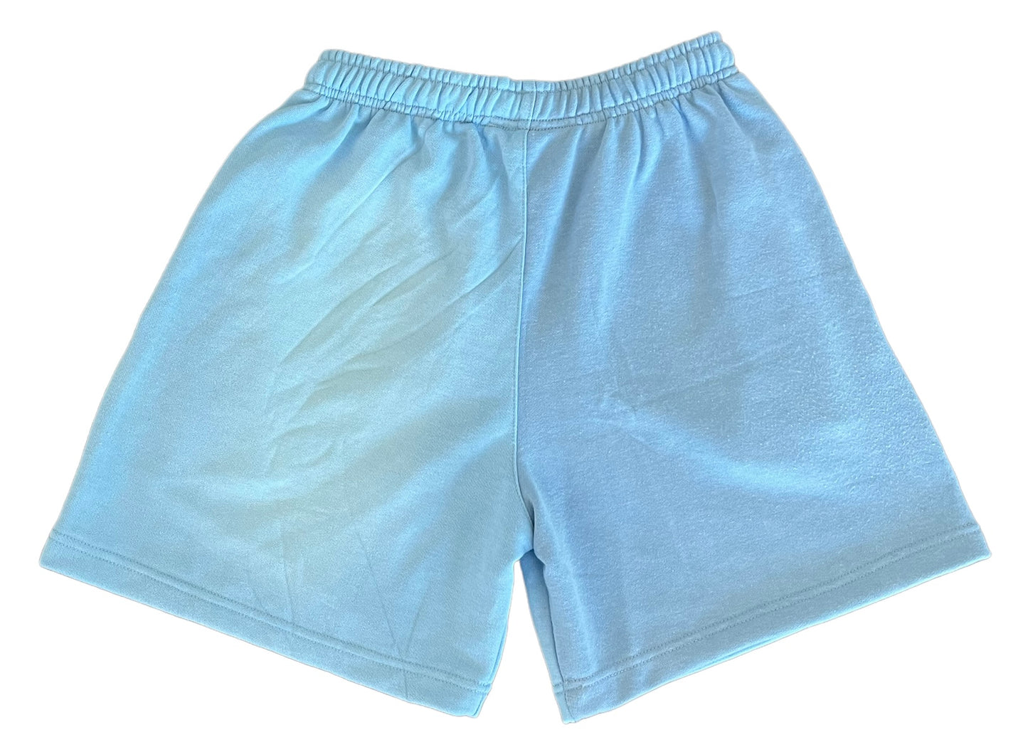 PUFF PRINT ACID WASHED SHORTS - PASTEL BLUE